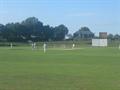 Forget the cricket since I cant see a thing